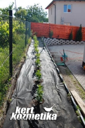 Etna babérmeggy alatti geotextilezés (17)